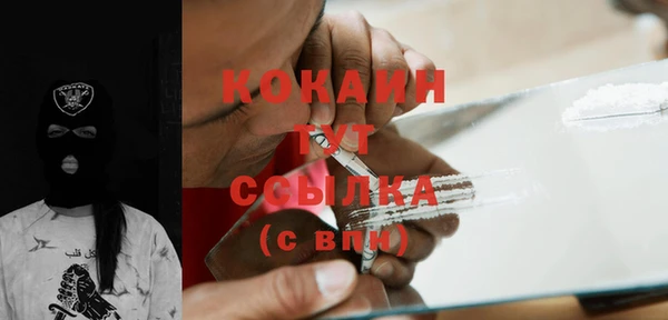 мдпв Верея