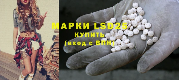 мдпв Верея