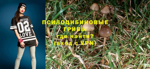 мдпв Верея