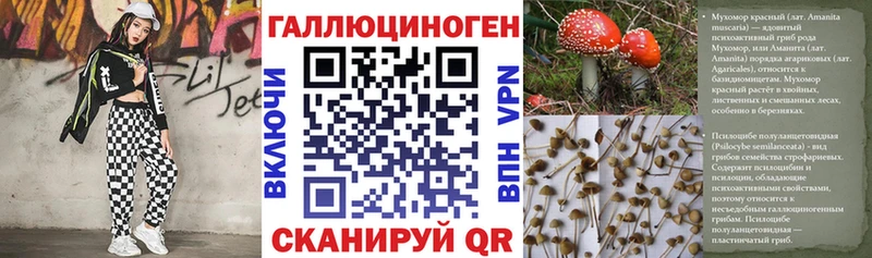закладки  Донской  hydra ссылка  Псилоцибиновые грибы MAGIC MUSHROOMS 